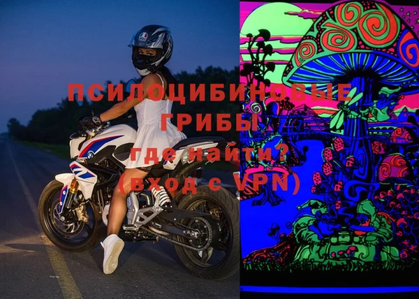 молекула духа Алексин