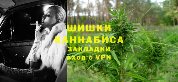 сатива Алзамай