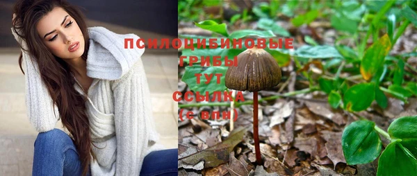 каннабис Слюдянка