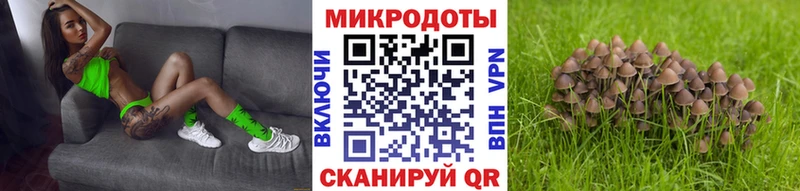 OMG рабочий сайт  Кимры  Галлюциногенные грибы мухоморы 